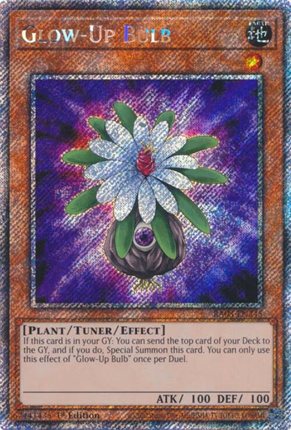 Glow-Up Bulb